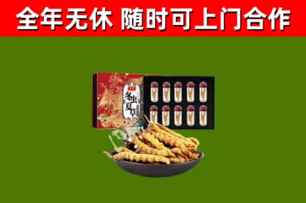 桥东回收冬虫夏草价格